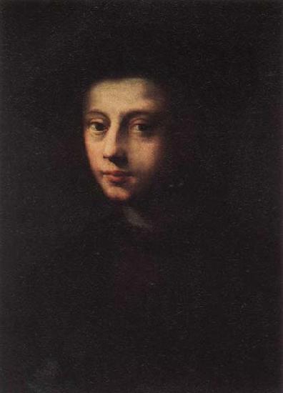 PULIGO, Domenico Portrait of Pietro Carnesecchi oil painting image
